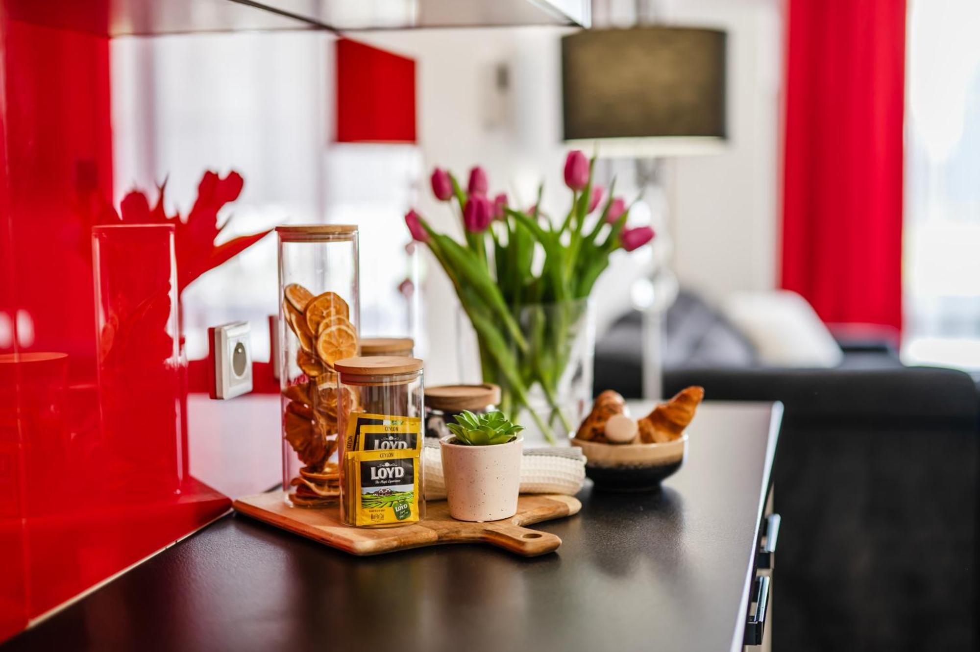 Rimini Moxy Te&am Cracow Krakau