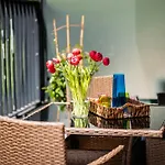 Rimini Moxy Te&Am Cracow