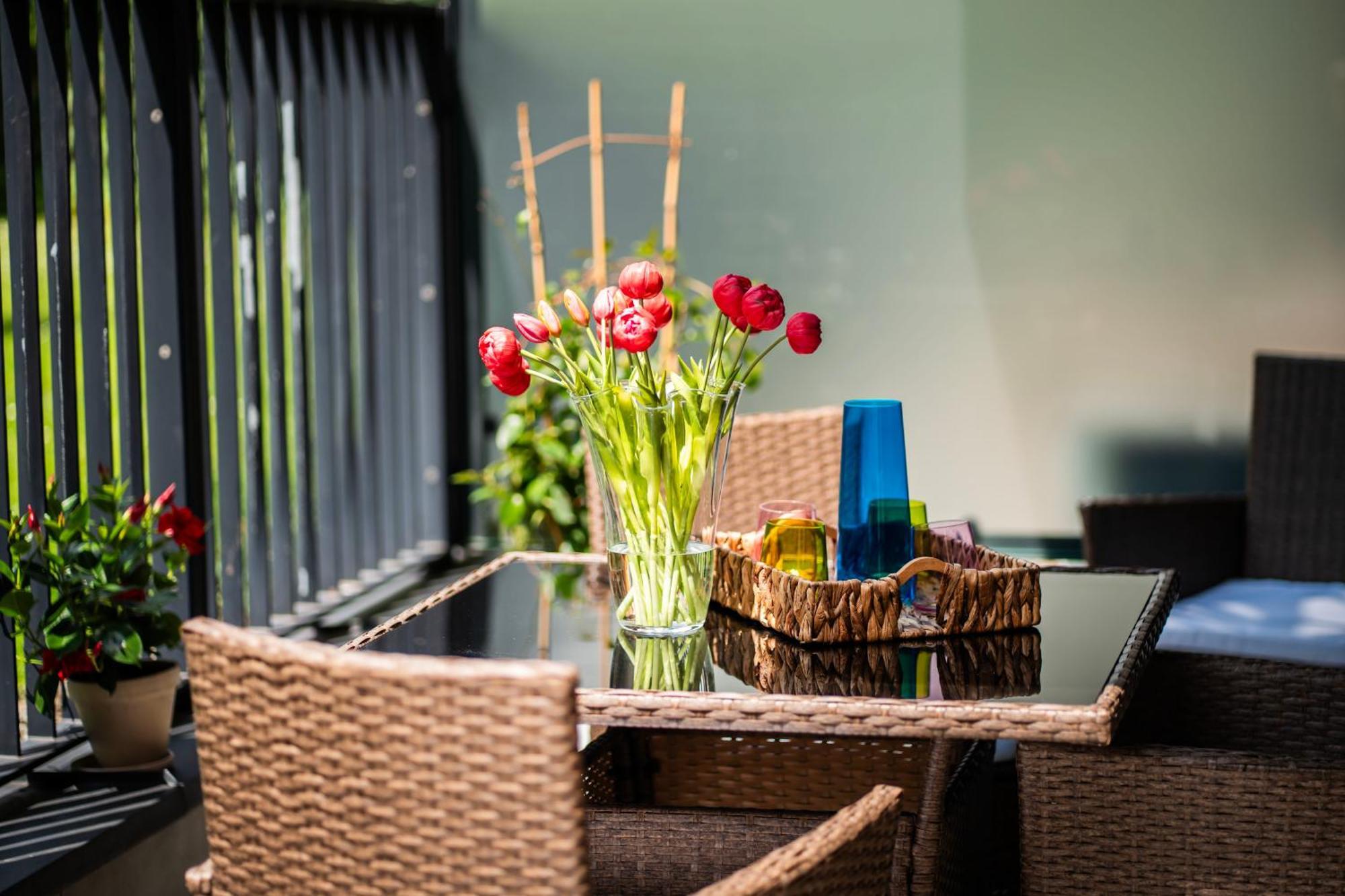 Apartment Rimini Moxy Te&am Cracow Krakau